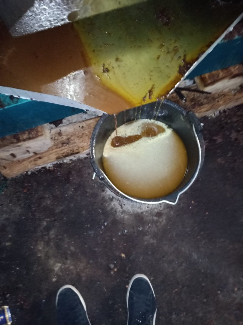 山茶油