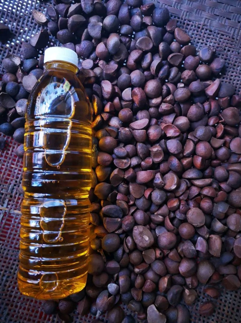山茶油