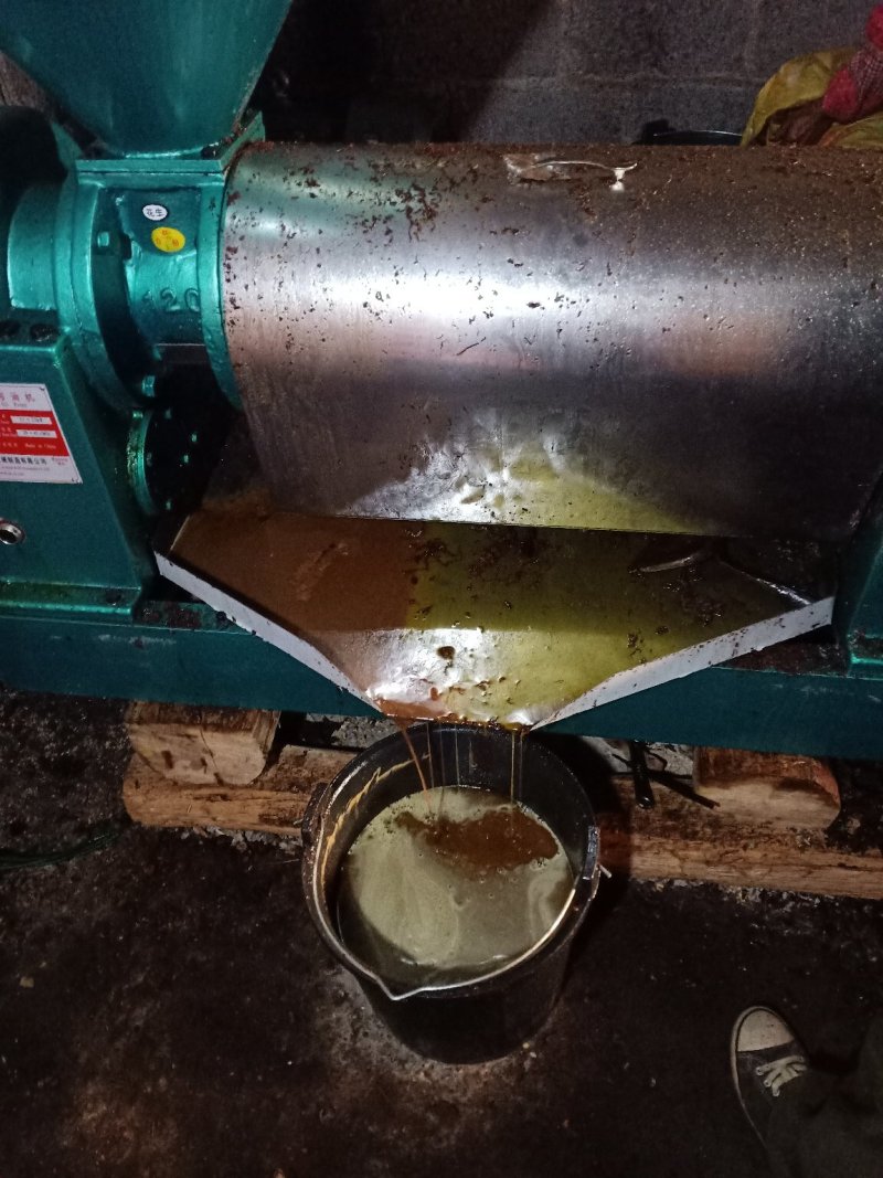 山茶油