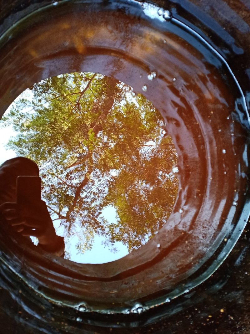 山茶油