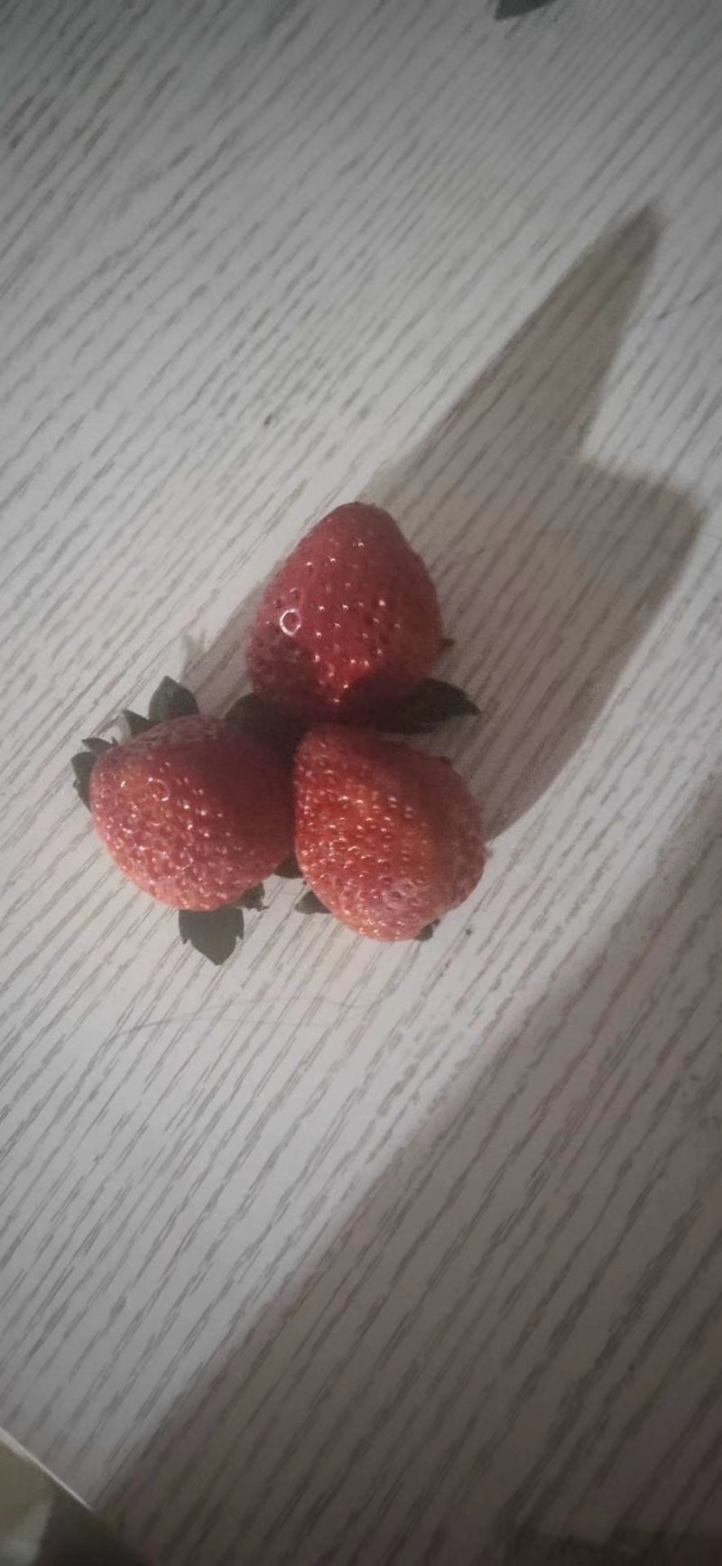 红颜奶油草莓欢迎批发