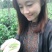 广东特产英德英红九号（甜香型）