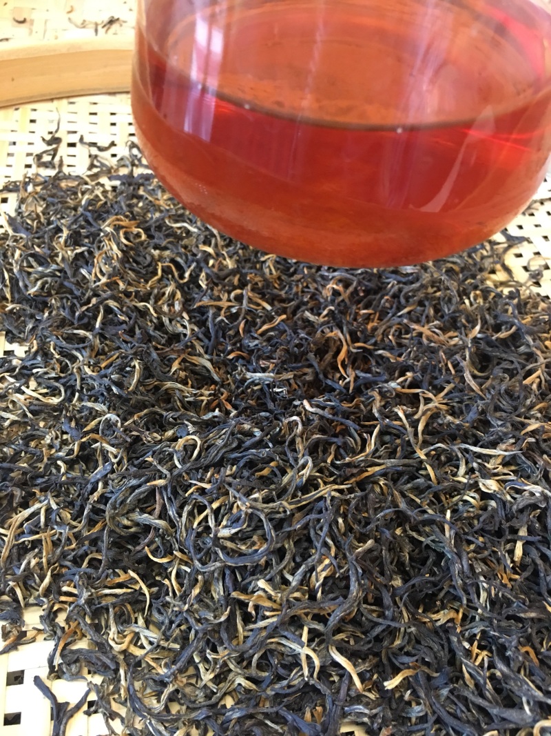 广东特产英德英红九号（白露茶）