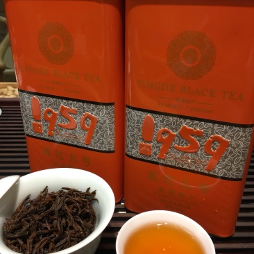广东特产英德英红九号（白露茶）