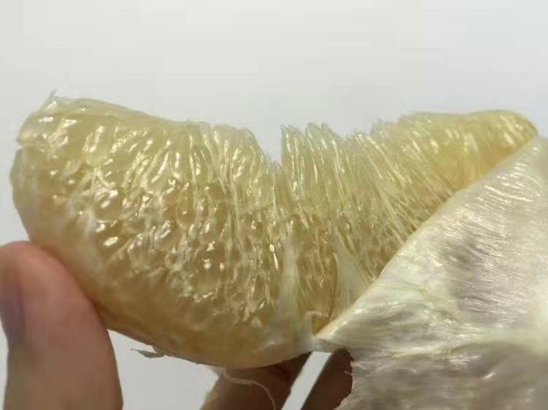 蜜柚产地大量批发，果园看货，现订现摘。诚信经营，质量为上