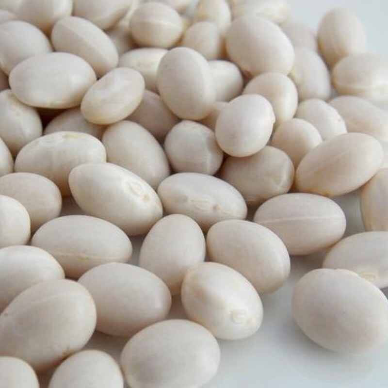 🍓🥖小白豆白芸豆粗粮任意搭配十斤4元邮费