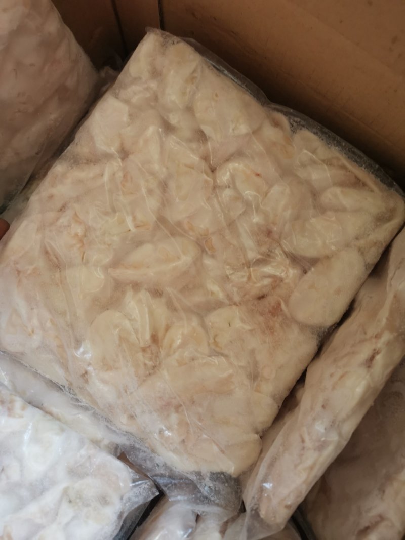 鮰鱼泡