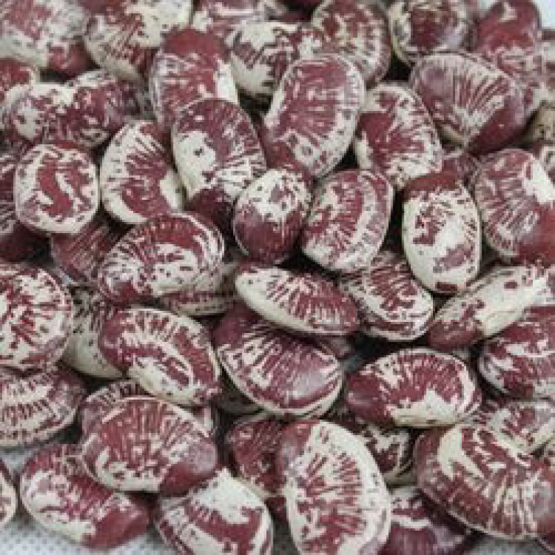 🍓🥖状元豆荷包豆大肾豆纯天然粗粮任意搭配十斤4元邮费