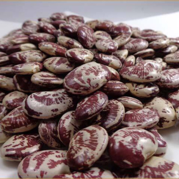 🍓🥖状元豆荷包豆大肾豆纯天然粗粮任意搭配十斤4元邮费