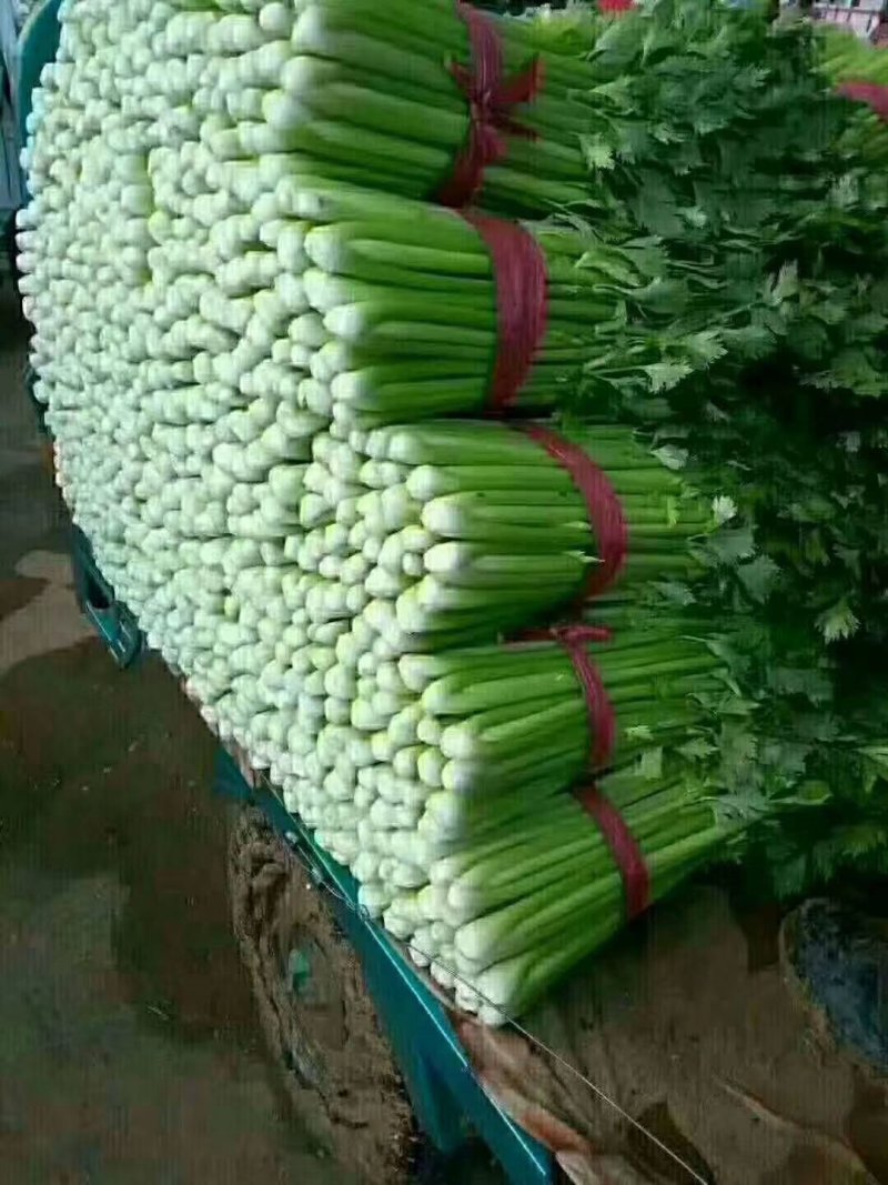 蔬菜