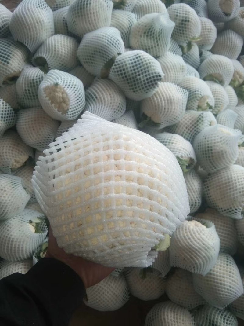 蔬菜