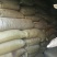 金线莲千余品种供应承接订单