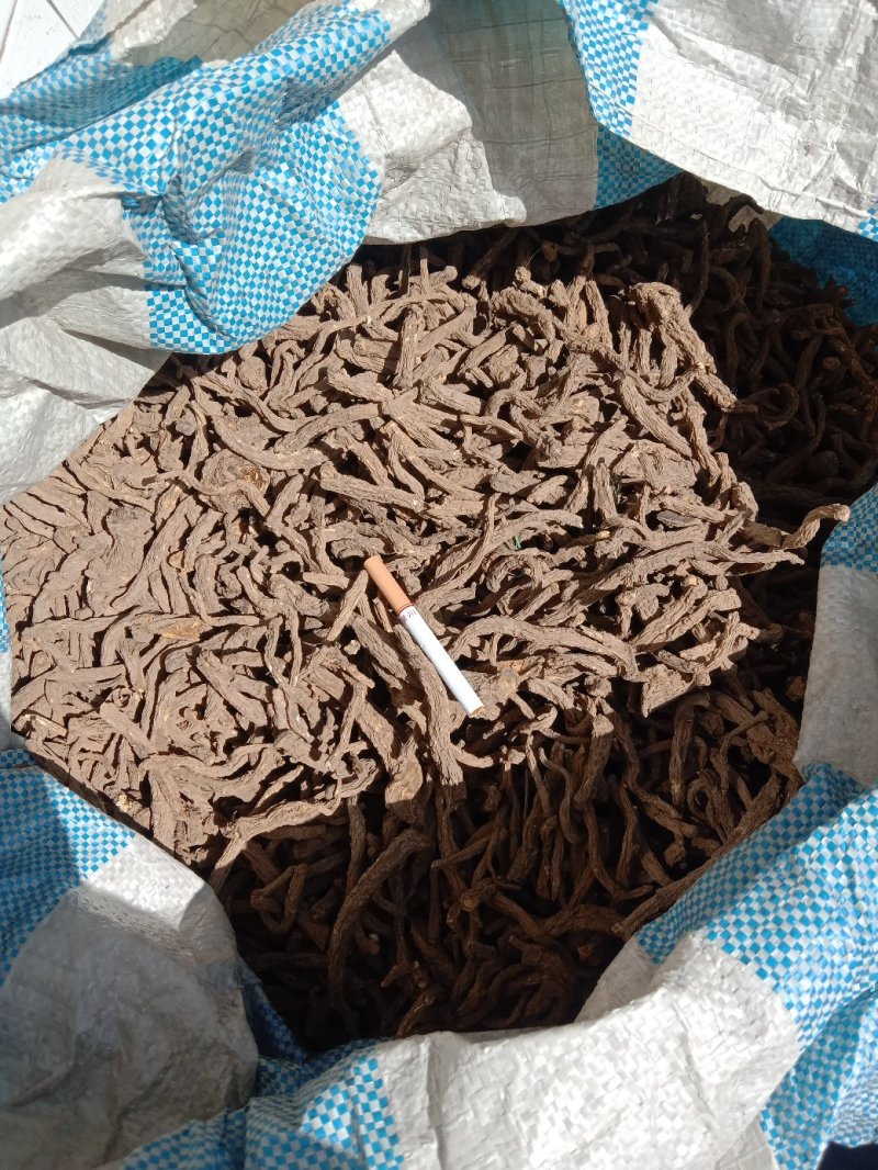 当归大量有货