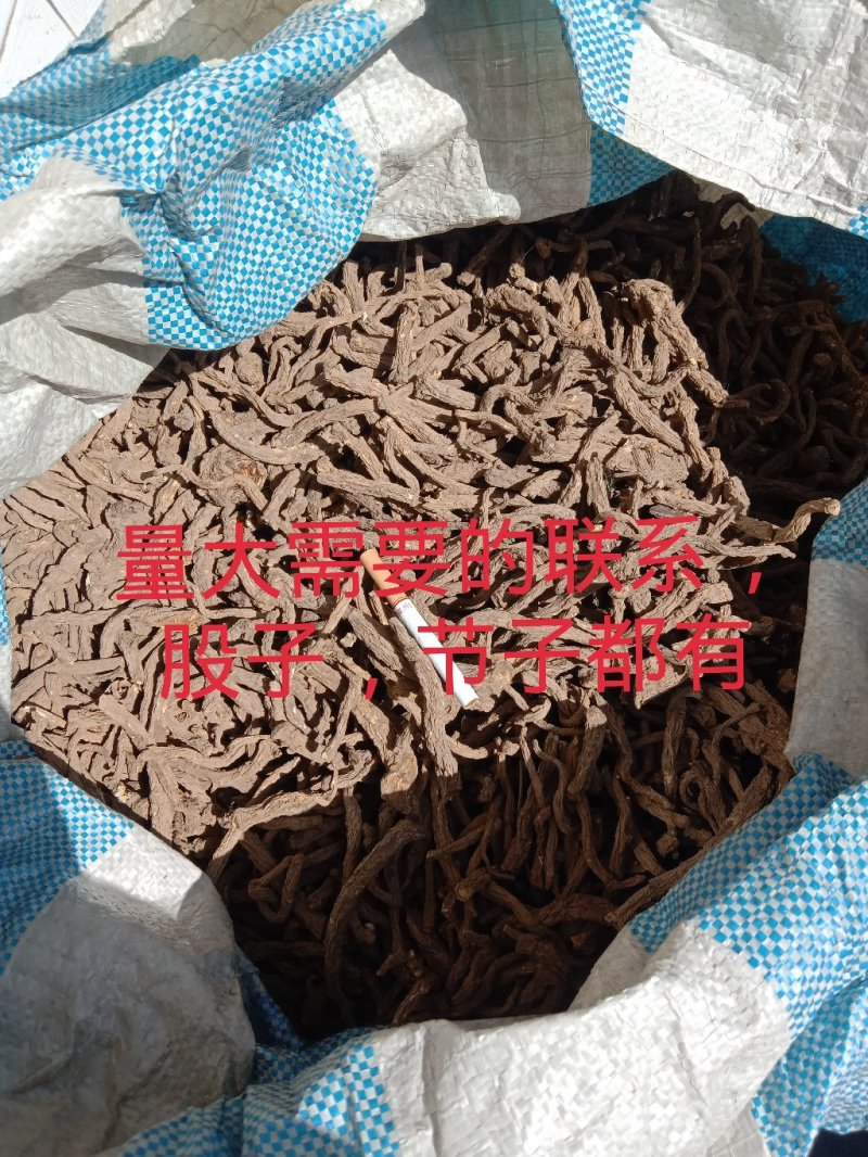 当归大量有货