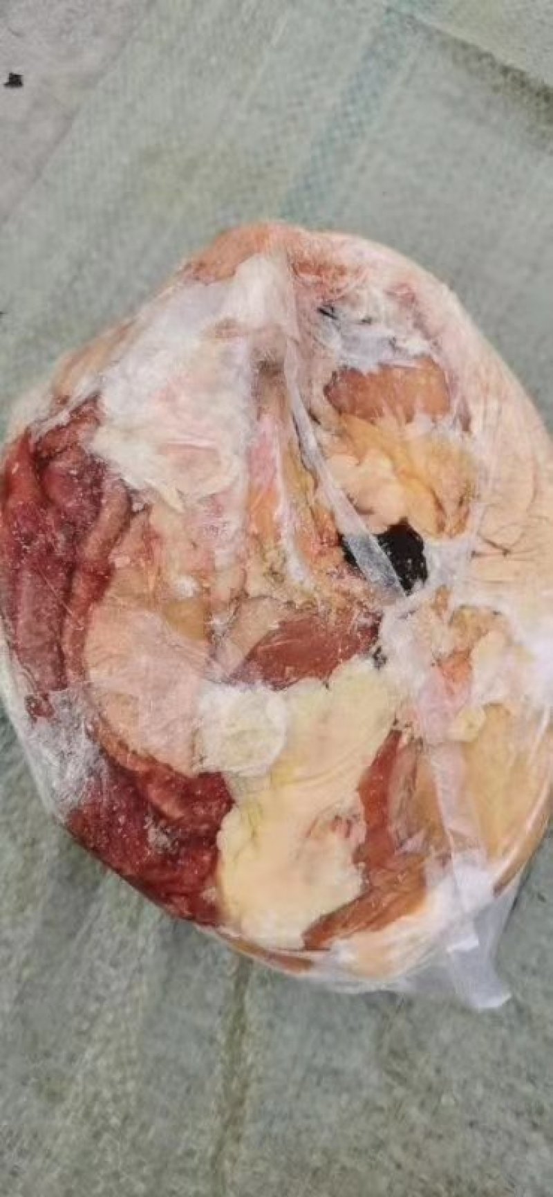 新鲜马圆肚国产无水当月新鲜