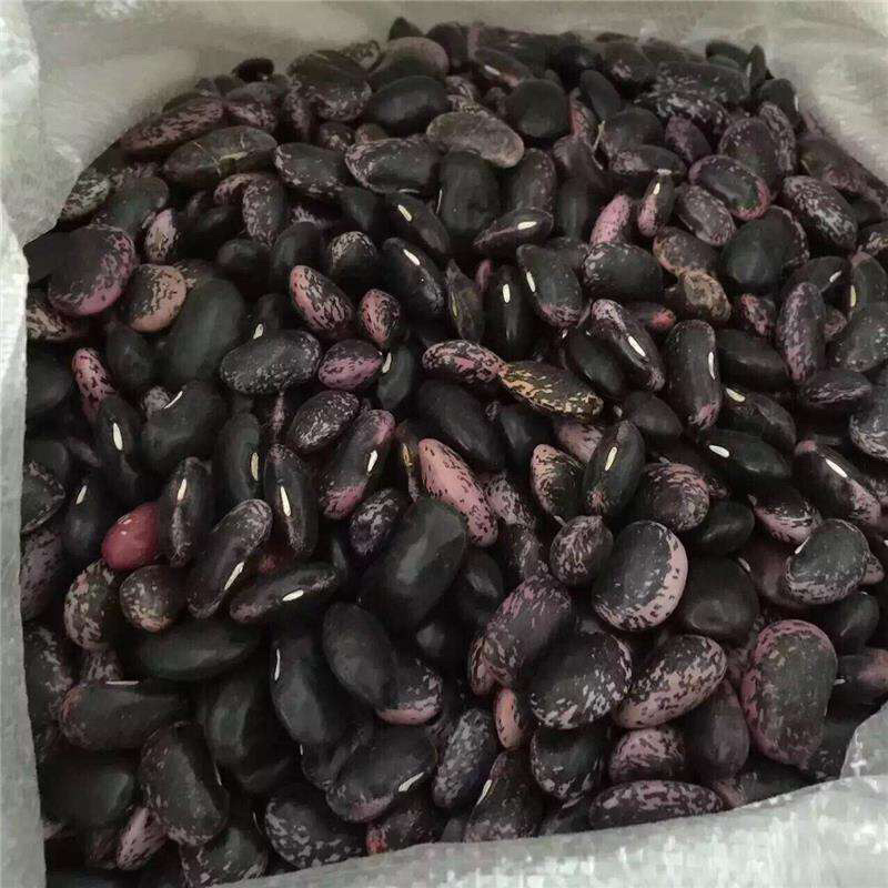 🍓🥖🔥芸豆黑花芸豆农家粗粮