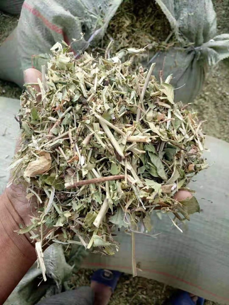 花生秧
