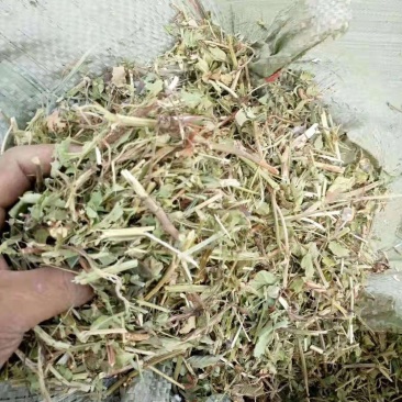 花生秧
