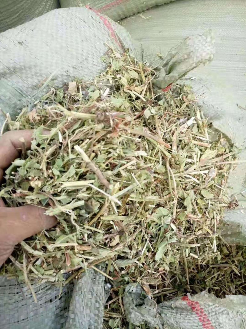 花生秧
