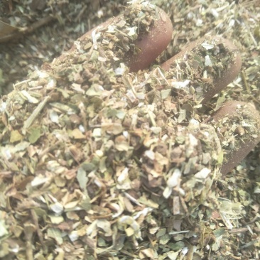 花生秧草粉，喂鸡鸭鹅兔的**。