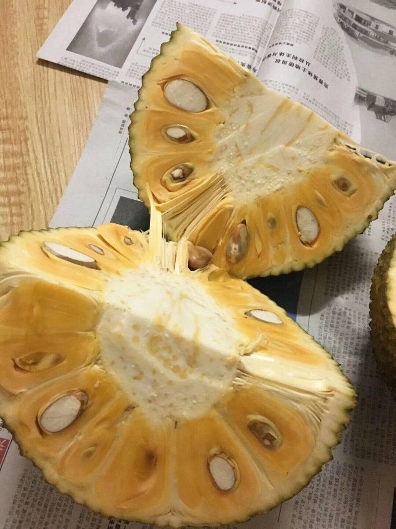 【支持无痕代发】红肉菠萝蜜超脆甜，水果店热卖款