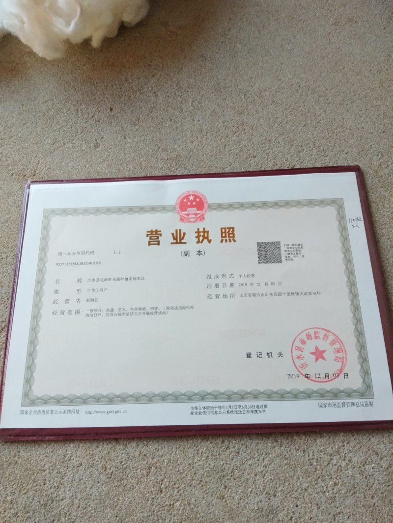 枳壳苗子，自己苗圃的，有货2佰万棵，0.3以上的，