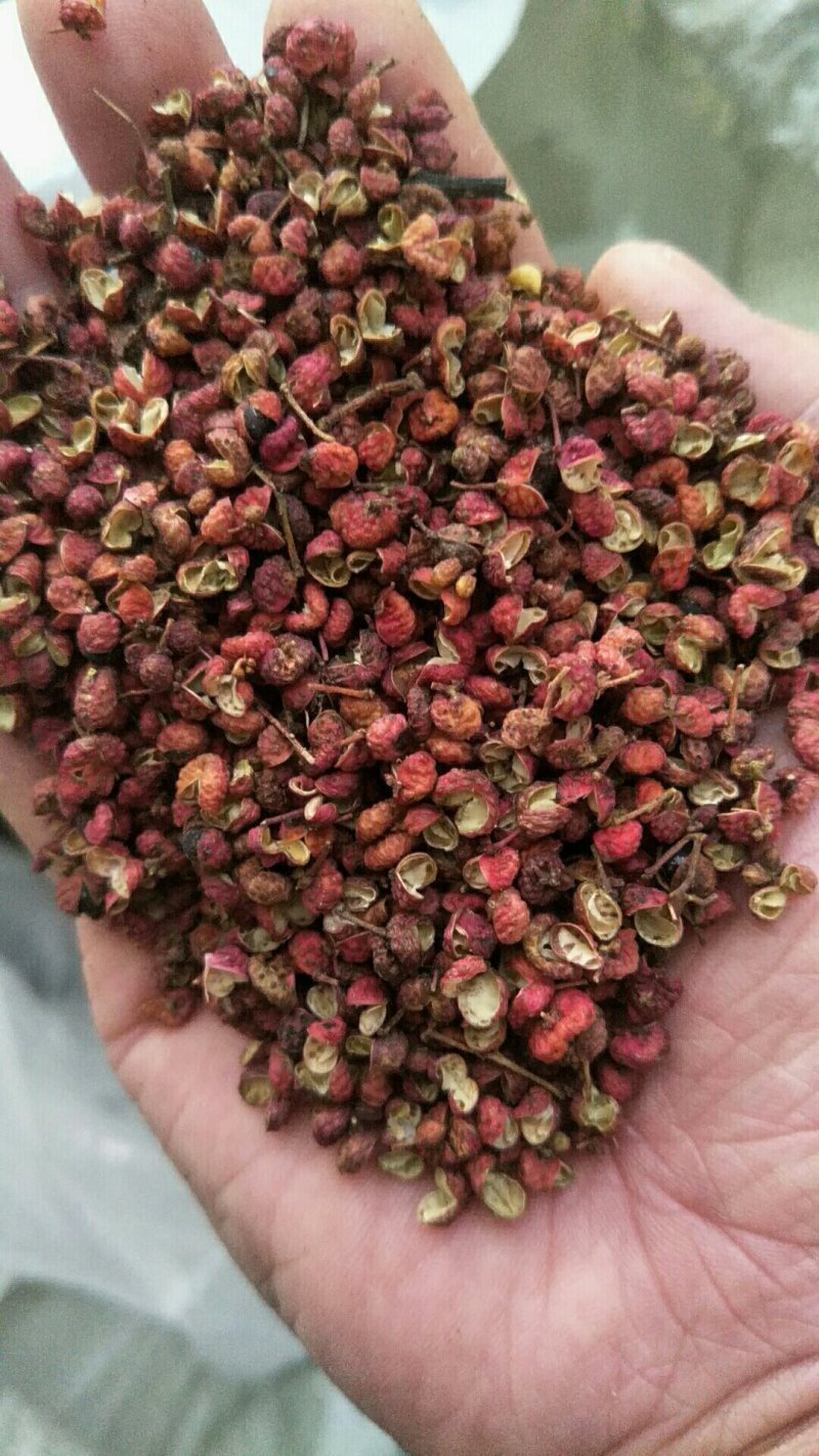 韩城大红袍花椒，品质保证，产地货源，质量保证！