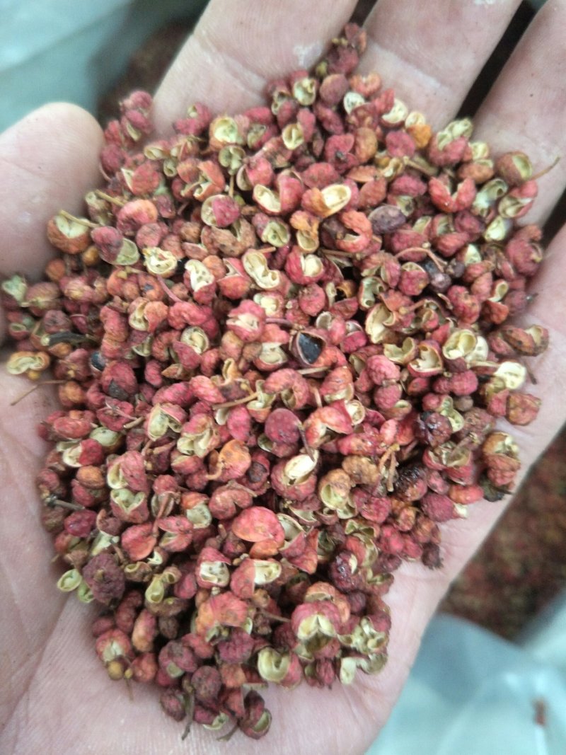韩城大红袍花椒，品质保证，产地货源，质量保证！