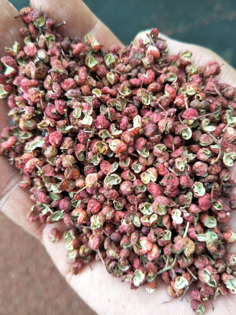 韩城大红袍花椒，品质保证，产地货源，质量保证！