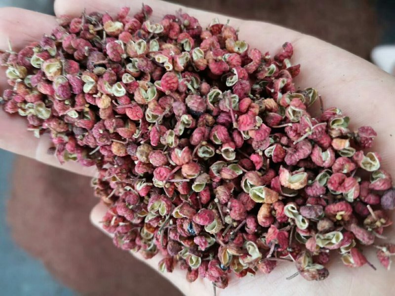 韩城大红袍花椒，品质保证，产地货源，质量保证！