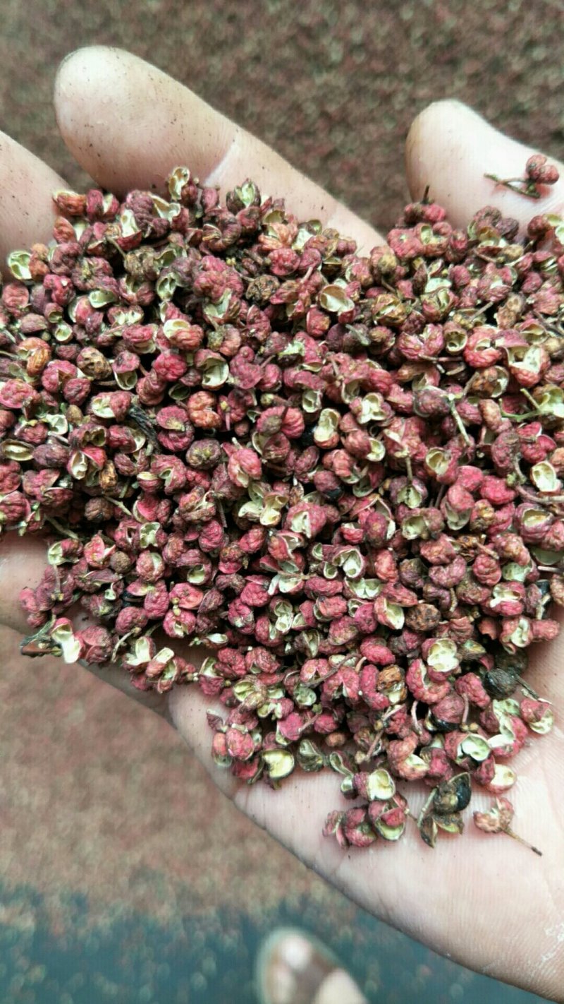韩城大红袍花椒，品质保证，产地货源，质量保证！