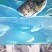 养殖场直销花链鱼白鲢鱼