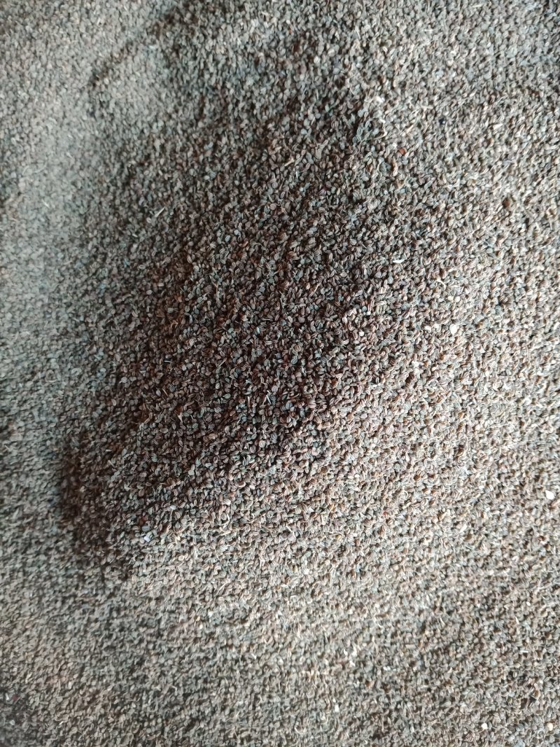 芹菜籽可泡水各种规格中药材批发零售入药用不是种子