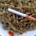 槐角，无虫害，无杂质，苗木基地直销，量大价格优惠