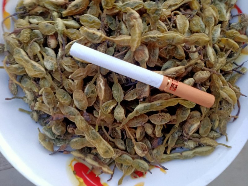 槐角，无虫害，无杂质，苗木基地直销，量大价格优惠