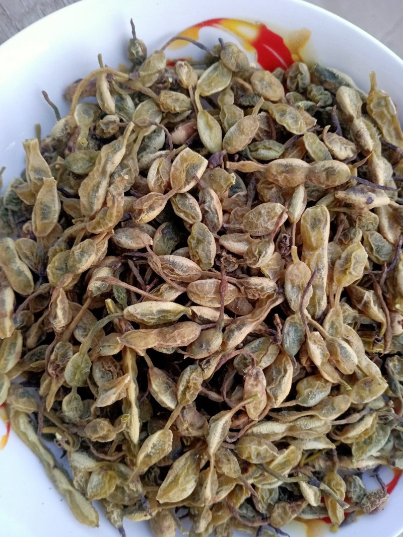槐角，无虫害，无杂质，苗木基地直销，量大价格优惠