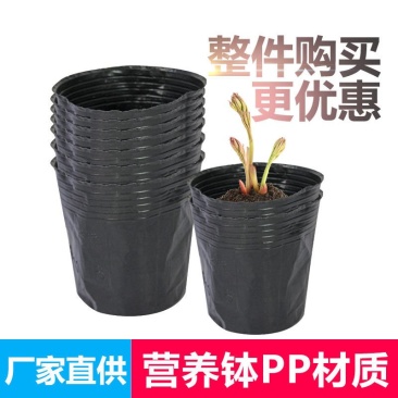 【河北营养杯厂家】育苗杯，花盆，营养盆，育苗袋