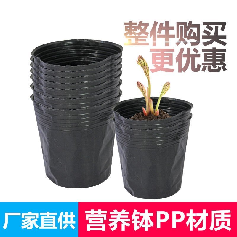 【河北营养杯厂家】育苗杯，花盆，营养盆，育苗袋