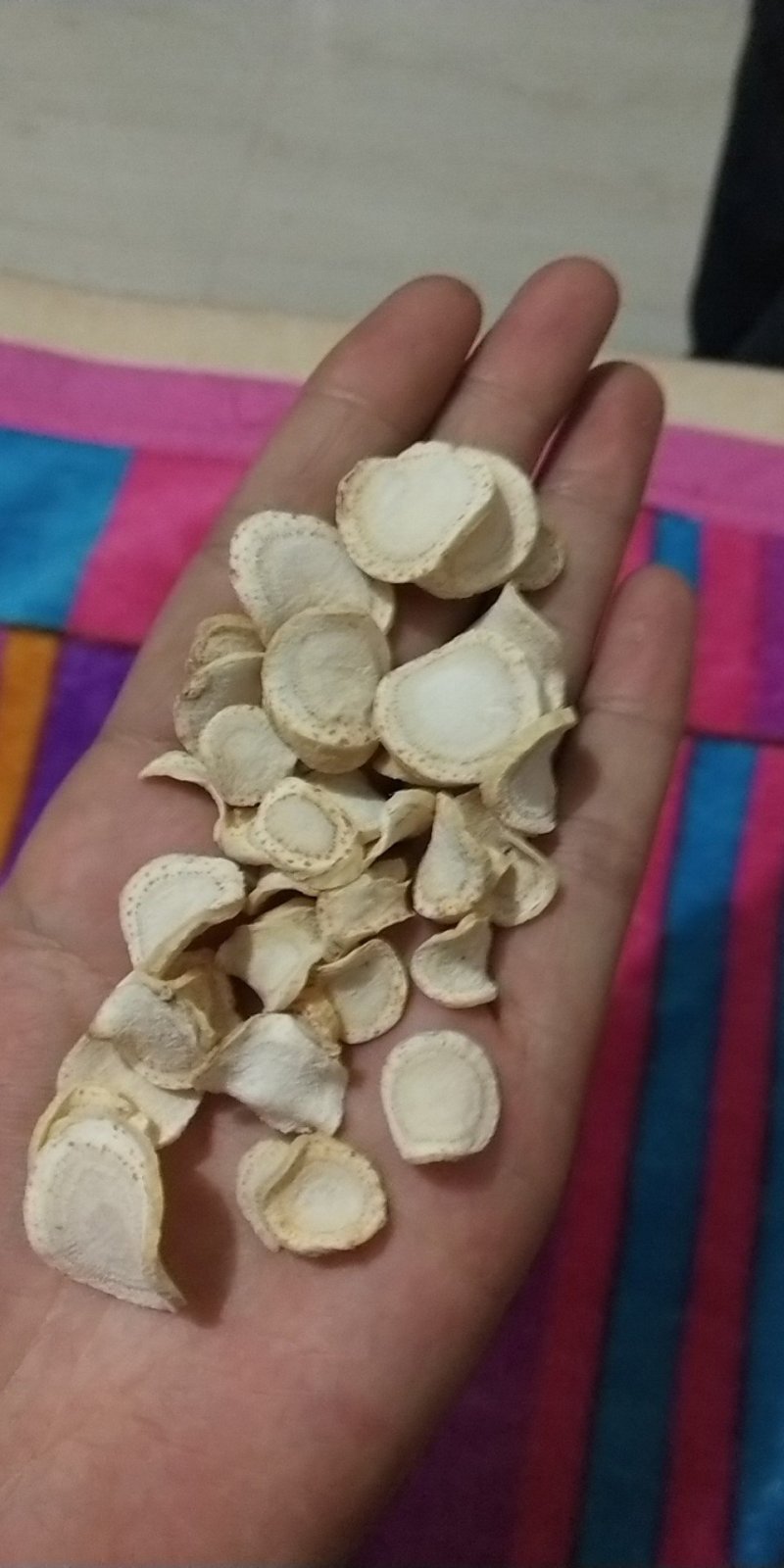 西洋参片