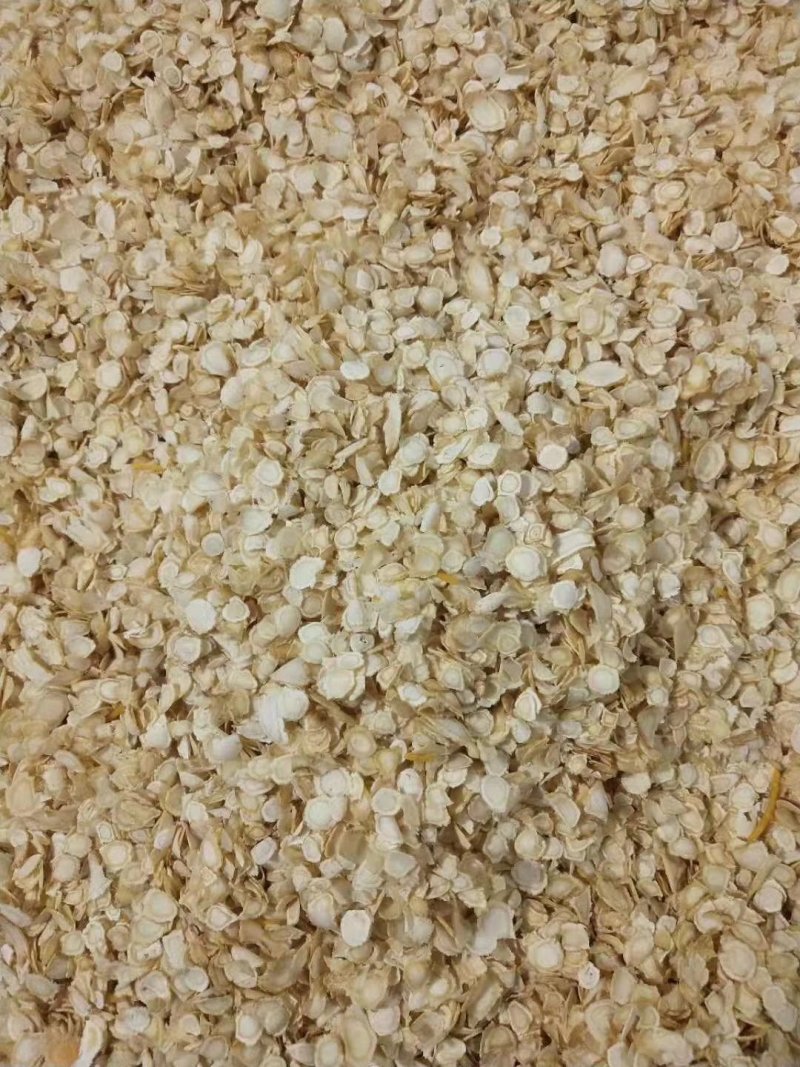 西洋参片