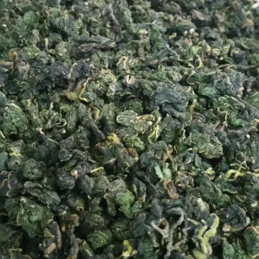 茶叶：霜后桑叶茶一手货源厂家直供