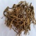 倒提壶草倒提壶根蓝布裙狗屎蓝无硫净货保正品批发冷背中药材