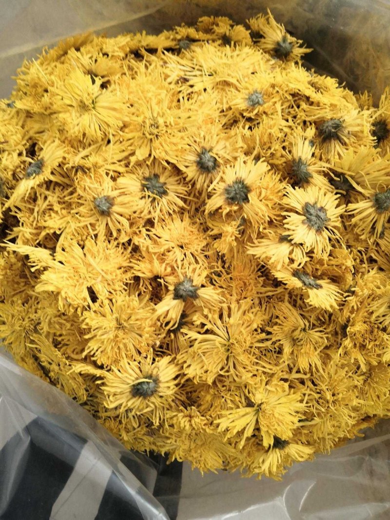菊花，菊花茶