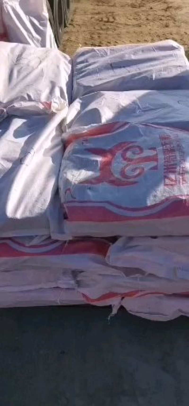 精品马前腿精修去油活马吊宰自产自销量大优惠