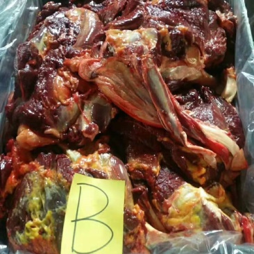 精品马前腿精修去油活马吊宰自产自销量大优惠
