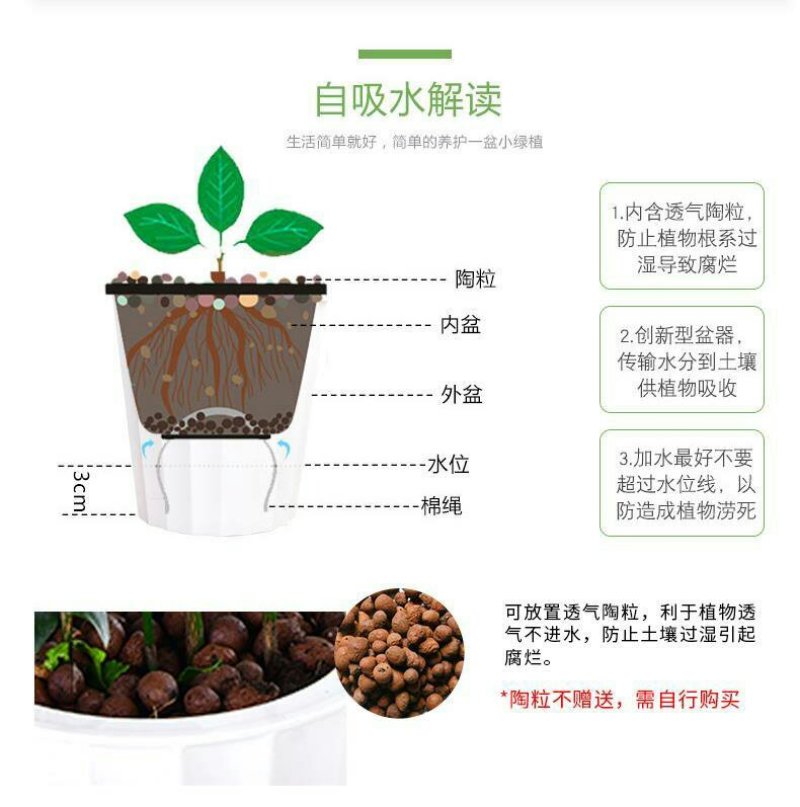 茉莉花盆栽室内室外防蚊植物阳台花卉盆栽驱蚊芳香净化空气绿