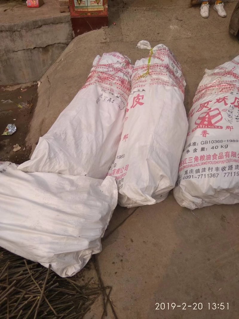 烟富六号苹果树苗品种纯正农户直发现挖现发