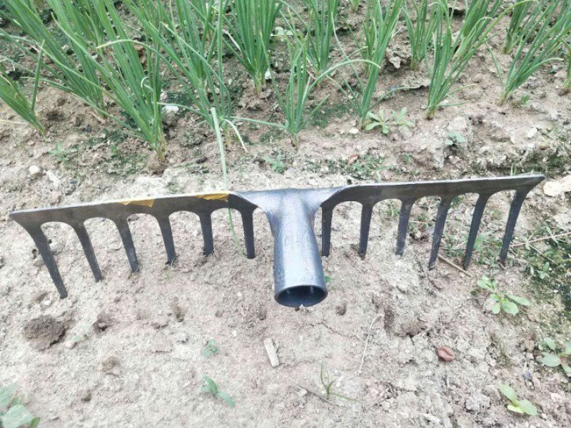 搂地耙子农用钉耙木柄铁耙子平地松土手工平式老式搂地耙九齿