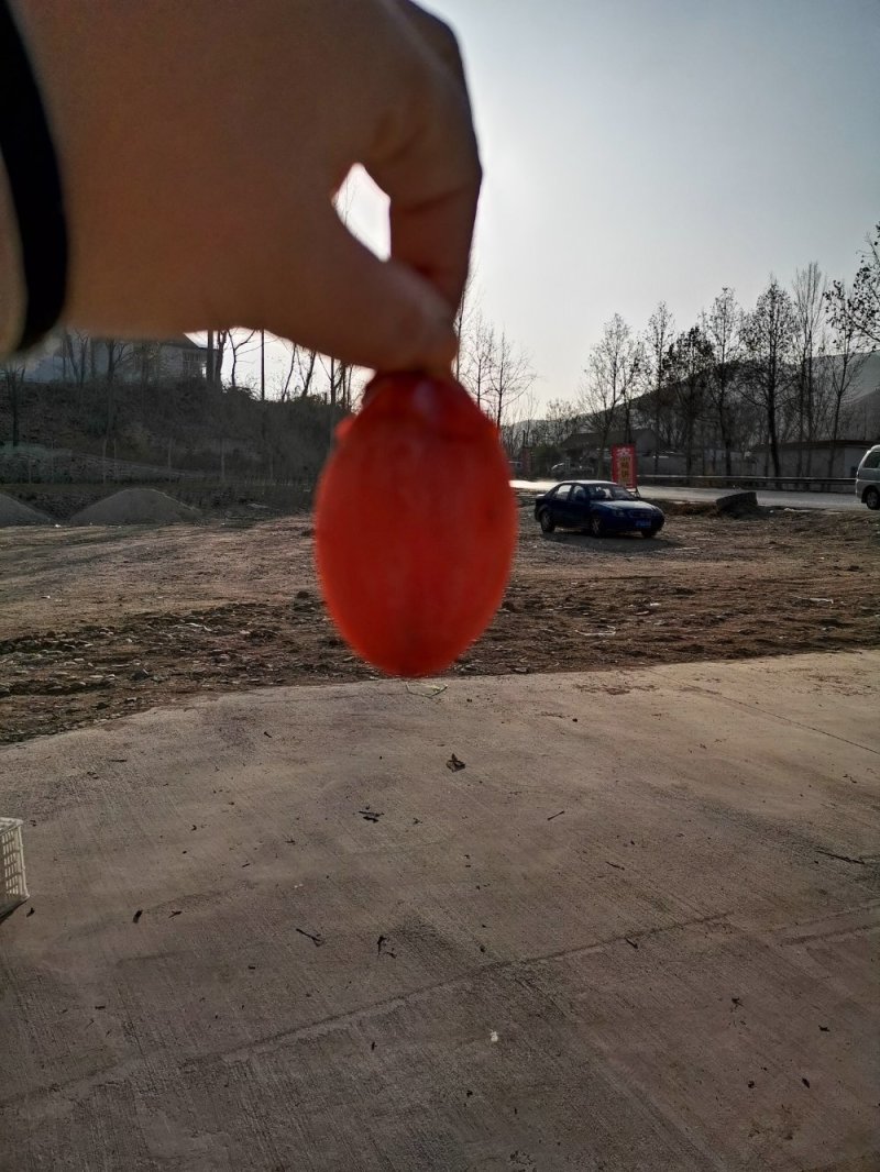 纯手制作杮饼小红饼