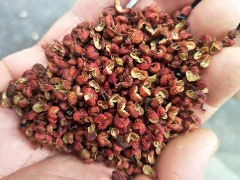 【精品】大红袍花椒毛椒，三级颗粒大，味道又麻又香。